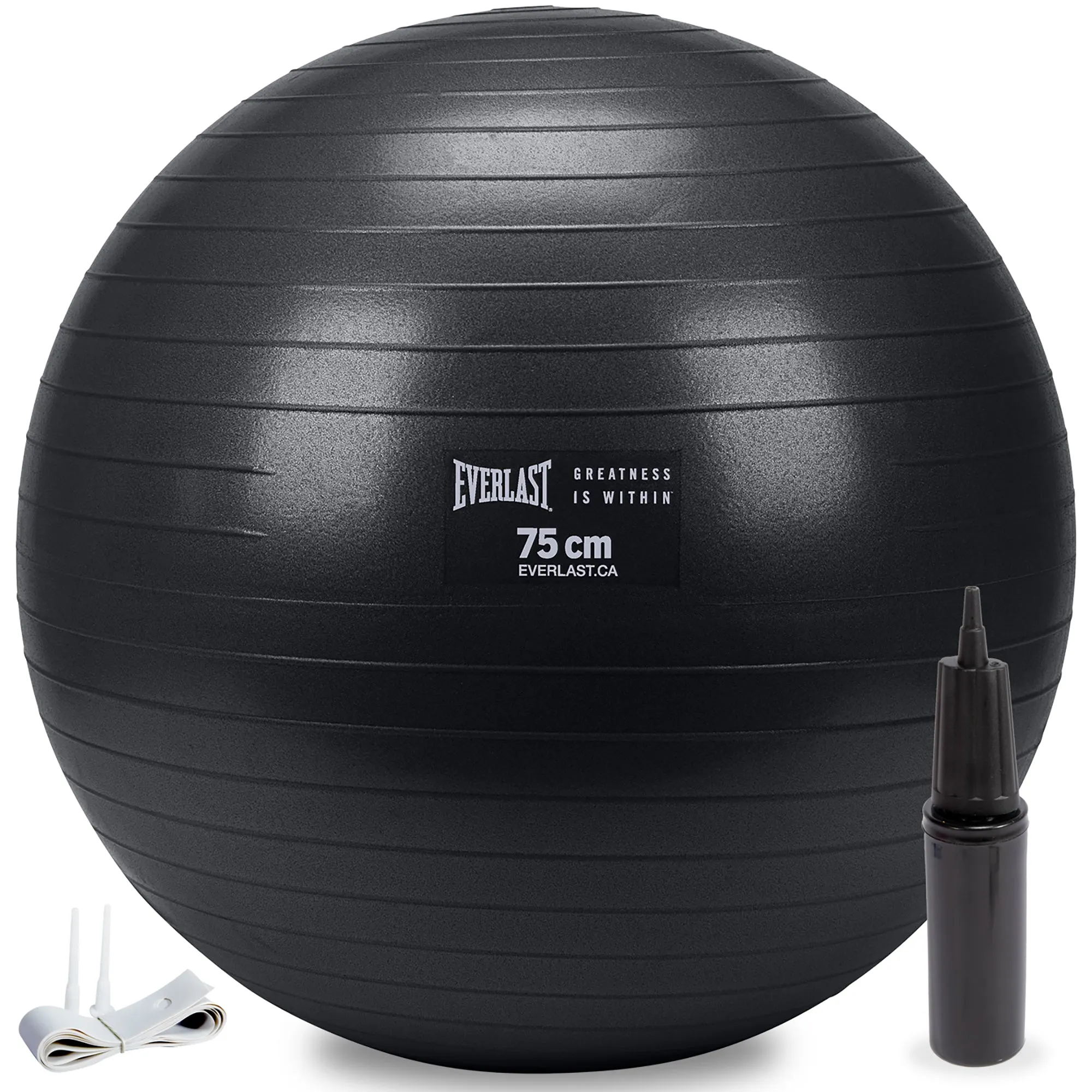 75cm Anti-Burst Stability Ball W/ 3LB Sand Weight