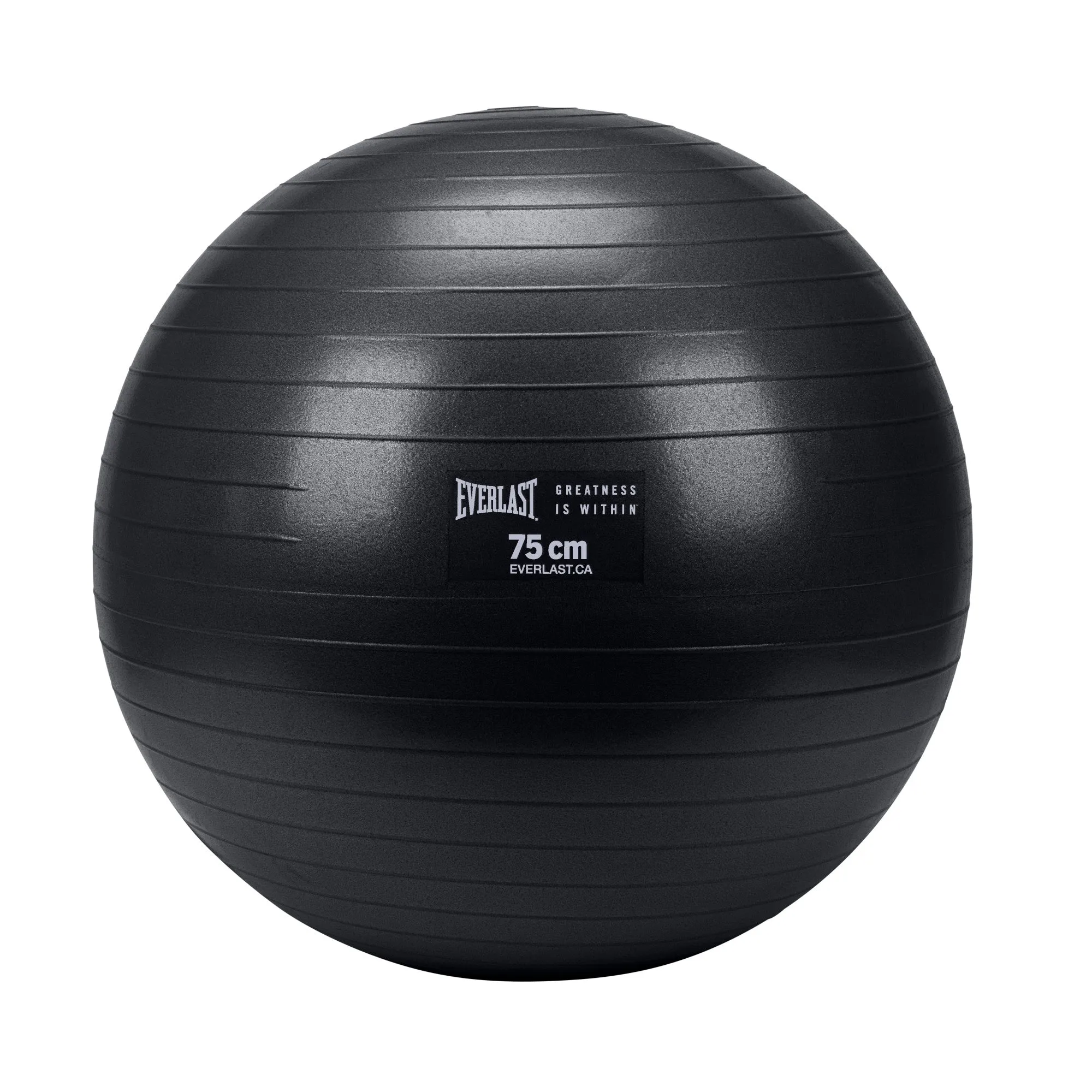 75cm Anti-Burst Stability Ball W/ 3LB Sand Weight