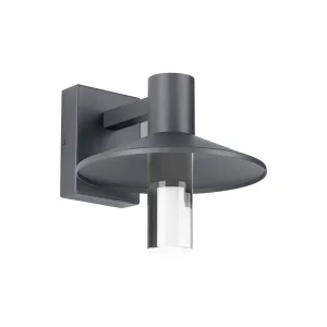 Ash 10 In. LED Lo-Output Outdoor Wall Sconce 529 Lumens 2700K Surge Protection Gray Finish Clear Cylinder