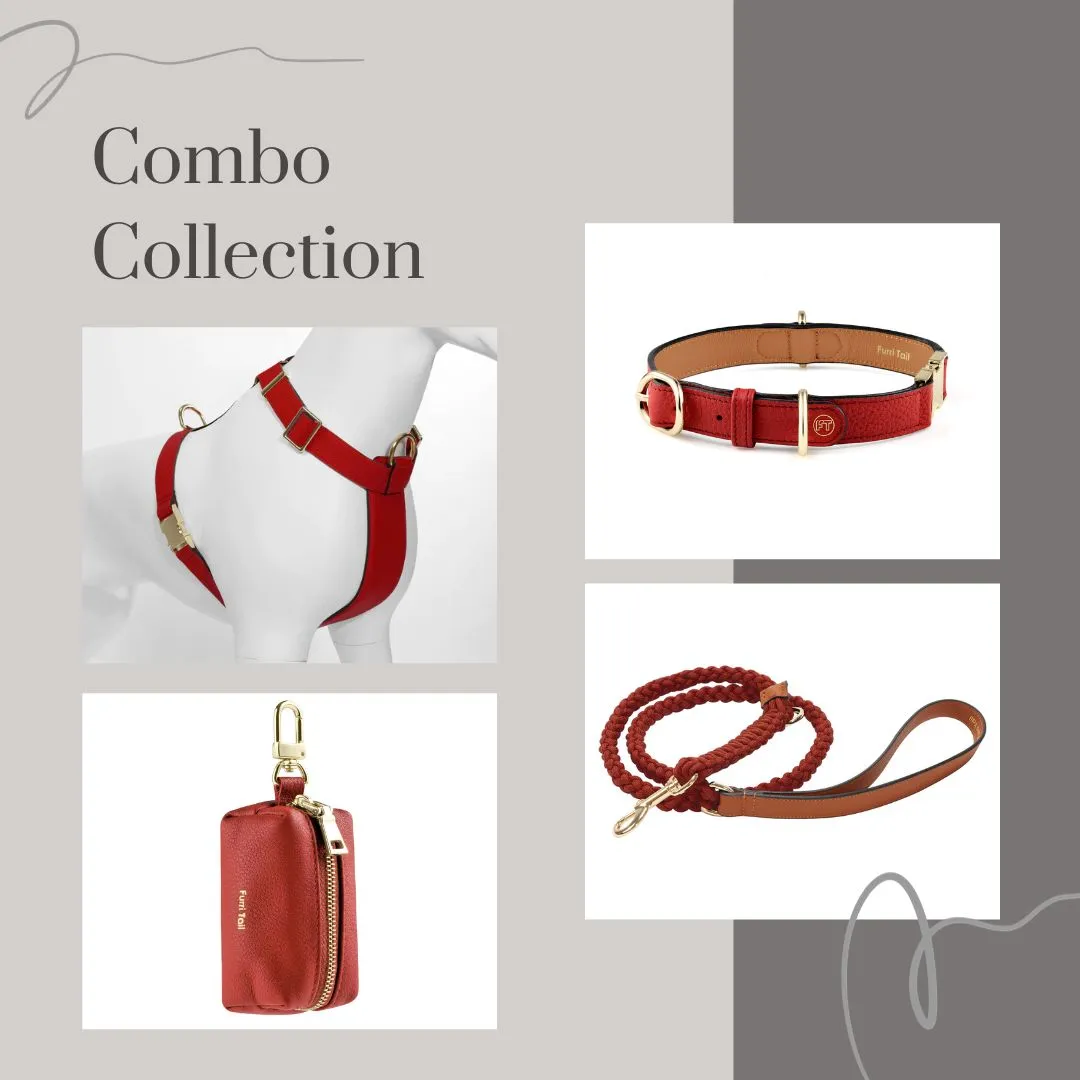 Exquisite Leather Dog Leash - Red