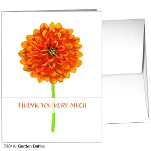 Garden Dahlia, Greeting Card (7301A)