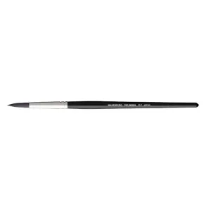 Pro Series 10 P Eyeliner Brush [HB1519]