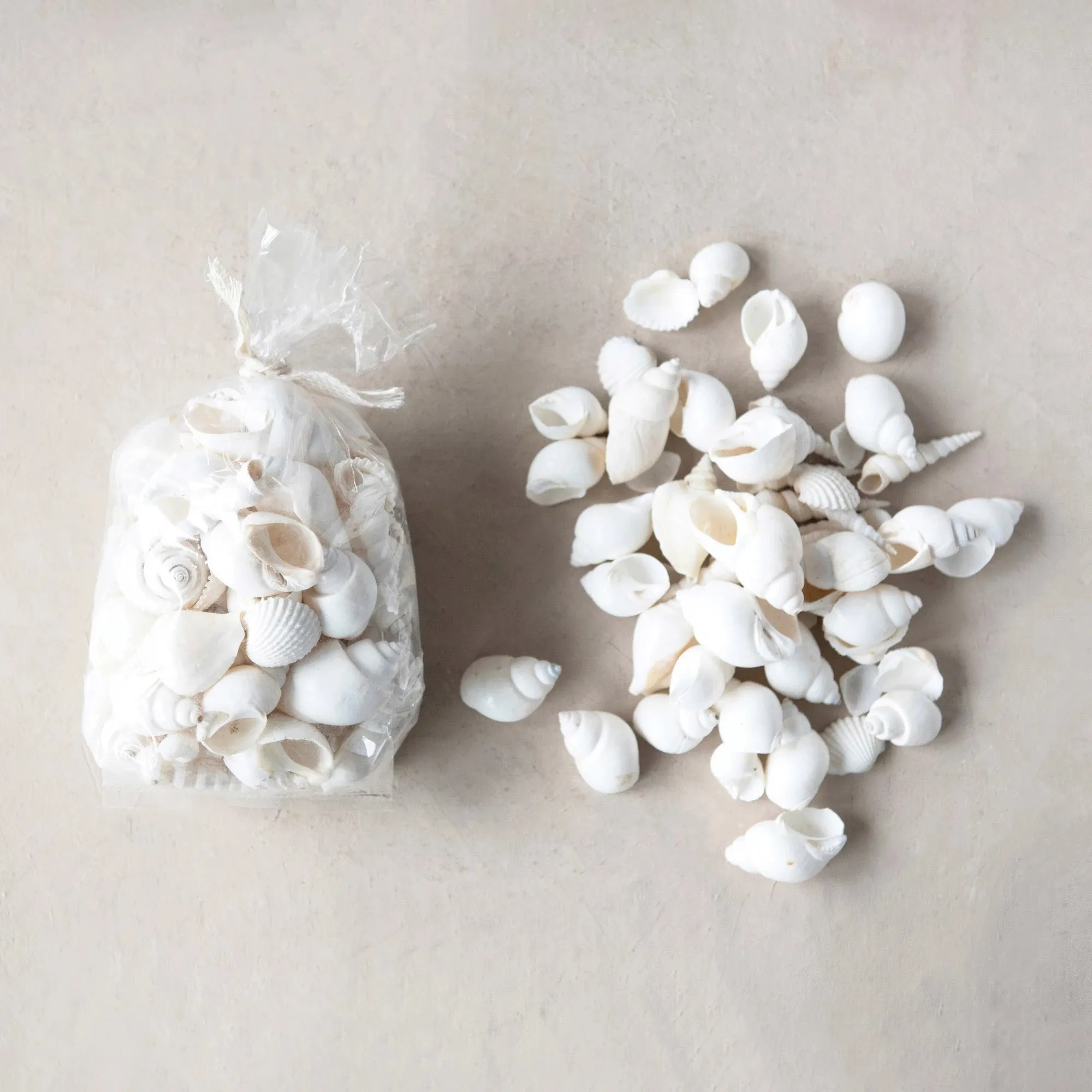 Shells In A Bag