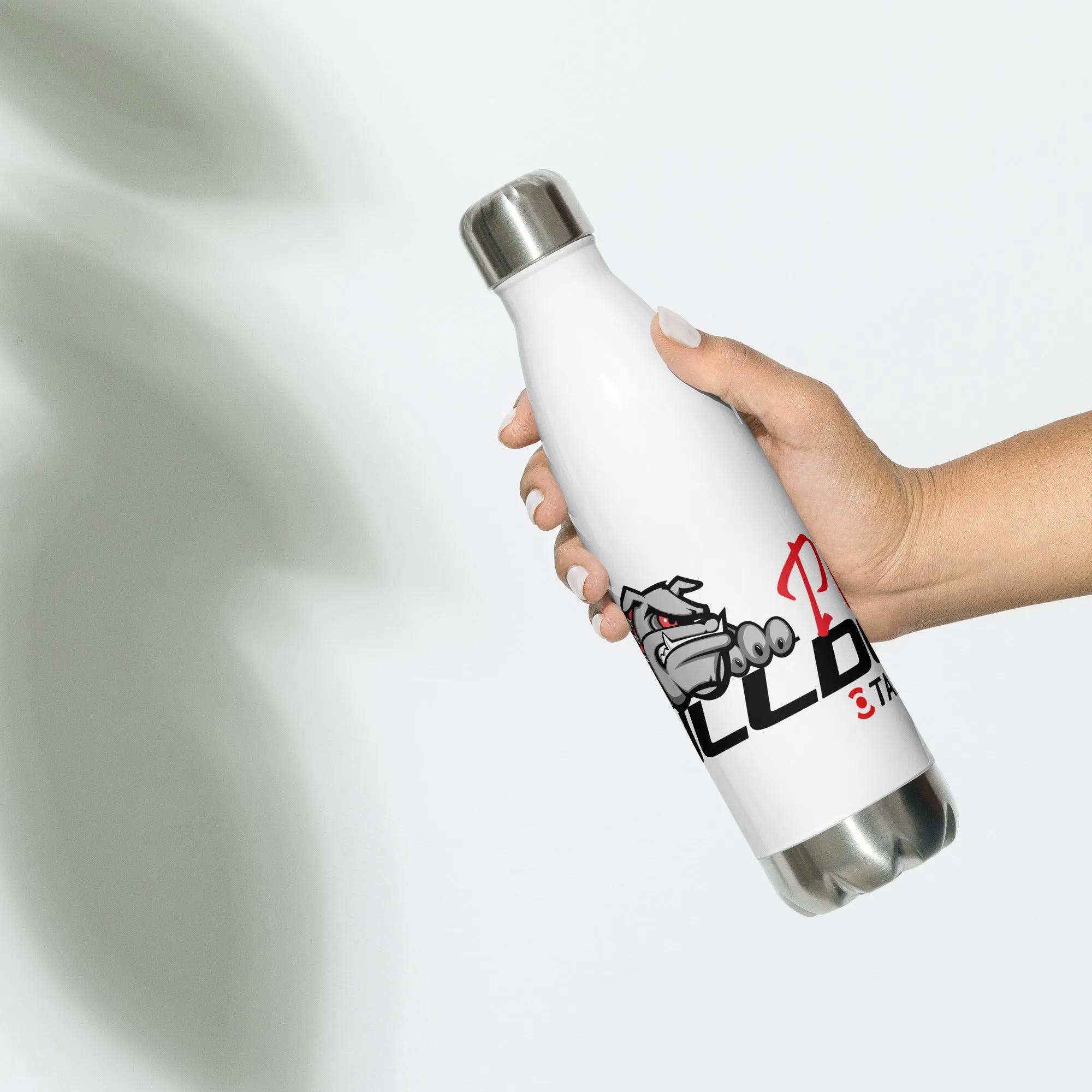 Stainless Steel Water Bottle