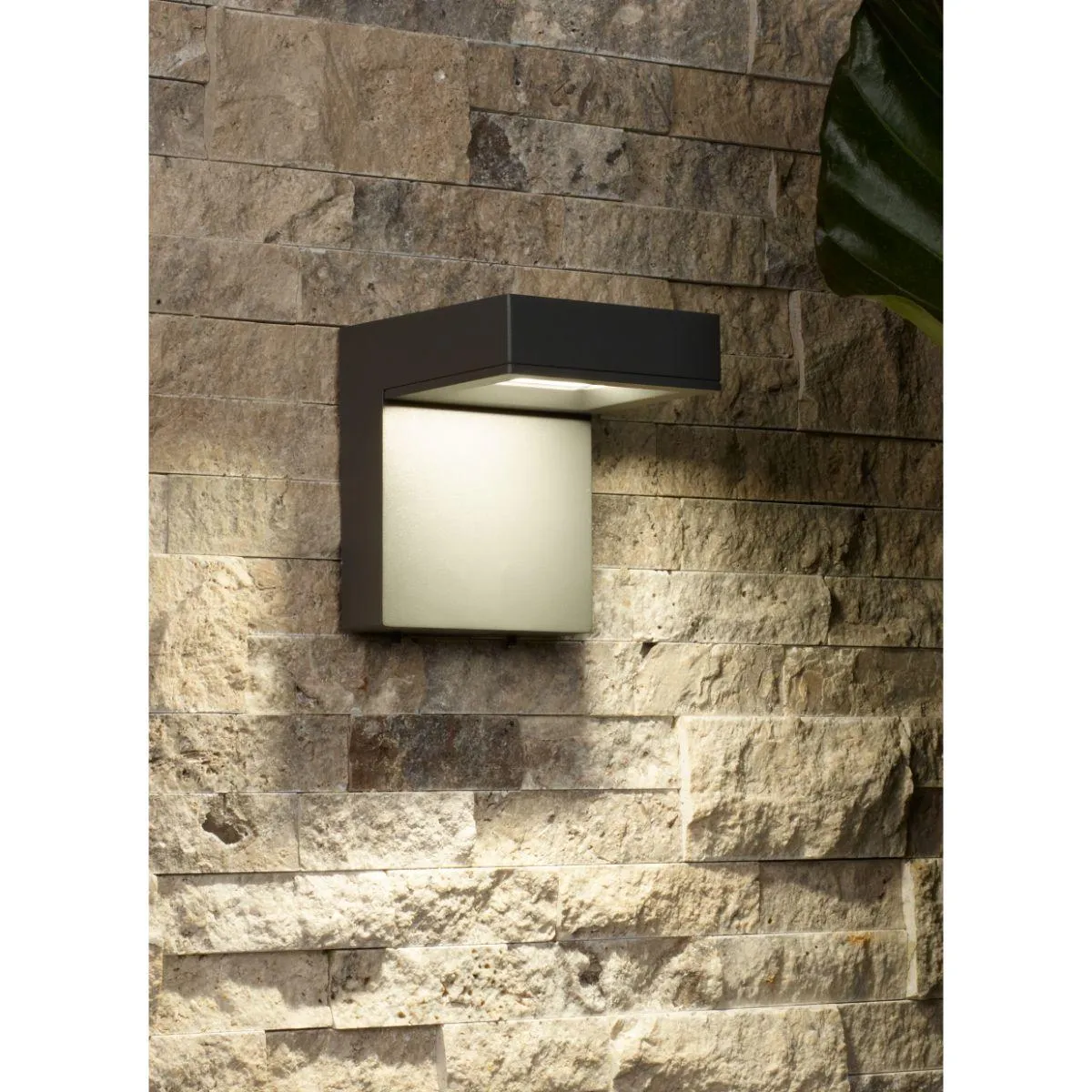 Taag 6 In. SP|Surge Protection LED Outdoor Wall Sconce 4000K Bronze Finish