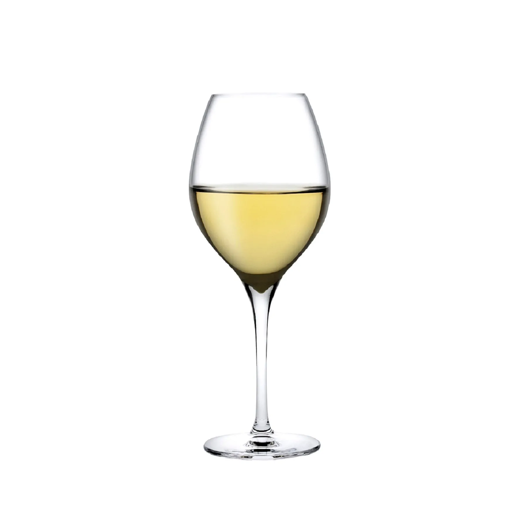 Vinifera Set of 2 White Wine Glasses 360 cc